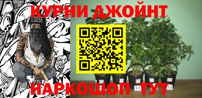 шишки Жуковский
