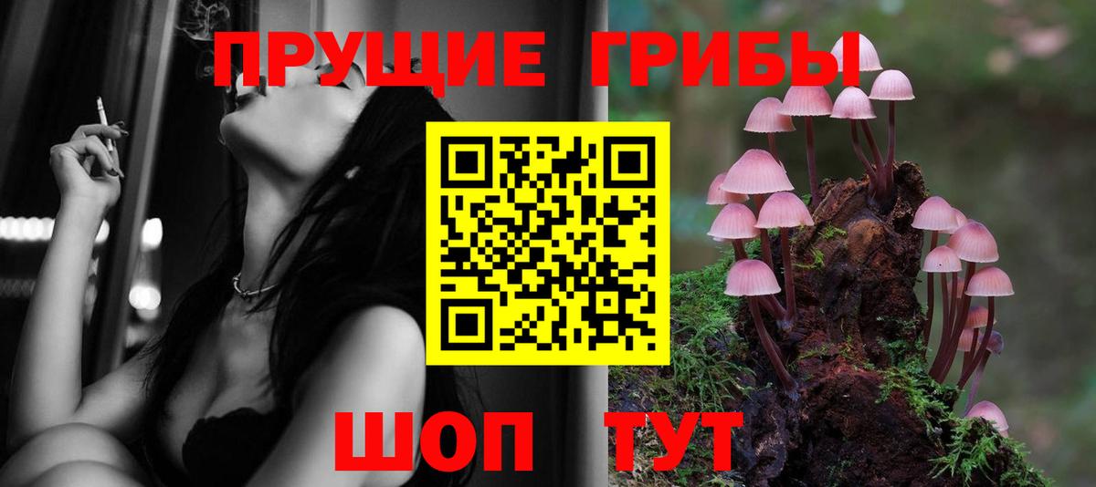 Галлюциногенные грибы Cubensis  Псилоцибиновые грибы Psilocybe  Вход с VPN  Ликино-Дулёво 